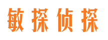 深圳市调查公司